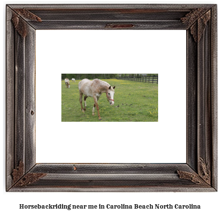 horseback riding near me in Carolina Beach, North Carolina